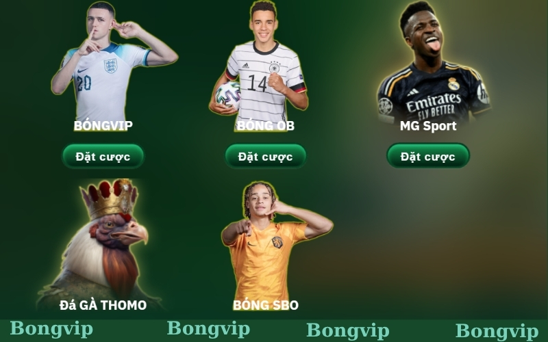 Sảnh cá cược thể thao hot nhất Bongvip