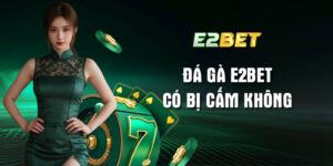Đá gà E2bet có bị cấm không? Tính pháp lý và rủi ro là gì?