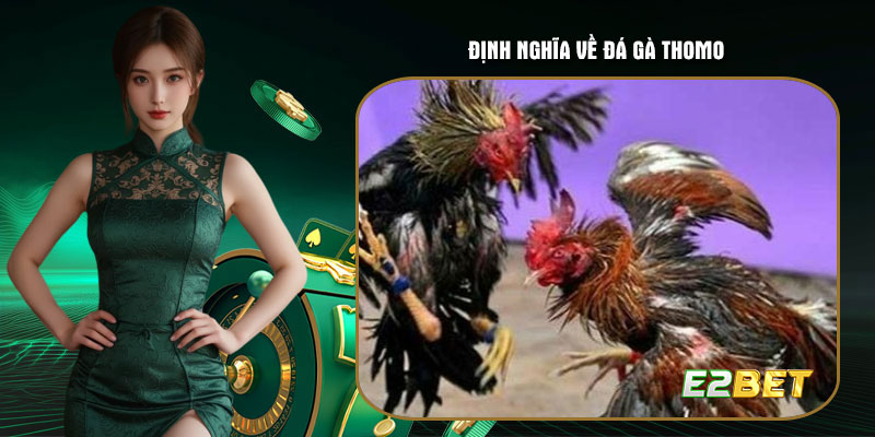 Định nghĩa về đá gà Thomo